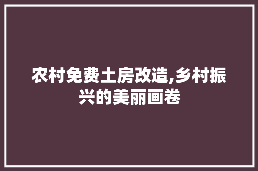 农村免费土房改造,乡村振兴的美丽画卷