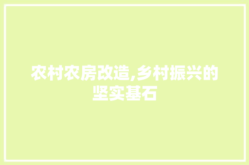 农村农房改造,乡村振兴的坚实基石