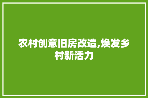 农村创意旧房改造,焕发乡村新活力