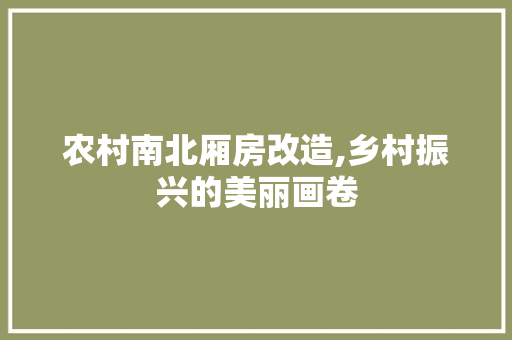 农村南北厢房改造,乡村振兴的美丽画卷