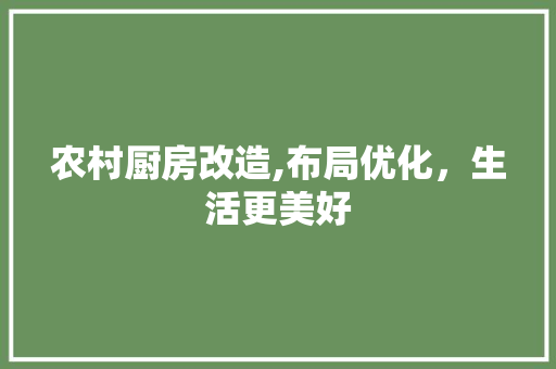 农村厨房改造,布局优化，生活更美好