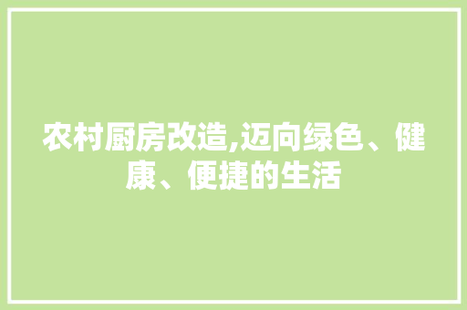 农村厨房改造,迈向绿色、健康、便捷的生活