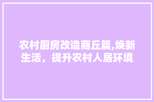 农村厨房改造商丘篇,焕新生活，提升农村人居环境