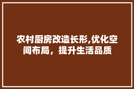 农村厨房改造长形,优化空间布局，提升生活品质