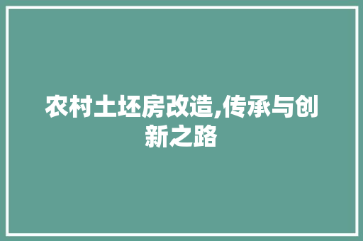 农村土坯房改造,传承与创新之路