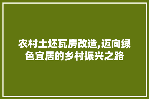 农村土坯瓦房改造,迈向绿色宜居的乡村振兴之路