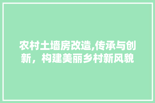 农村土墙房改造,传承与创新，构建美丽乡村新风貌