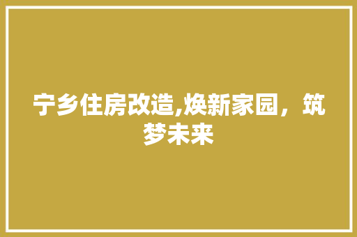 宁乡住房改造,焕新家园，筑梦未来