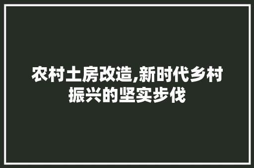 农村土房改造,新时代乡村振兴的坚实步伐