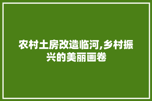 农村土房改造临河,乡村振兴的美丽画卷
