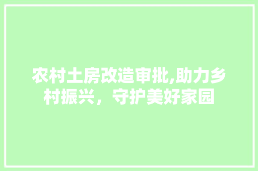 农村土房改造审批,助力乡村振兴，守护美好家园