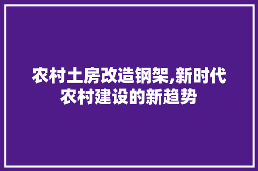 农村土房改造钢架,新时代农村建设的新趋势