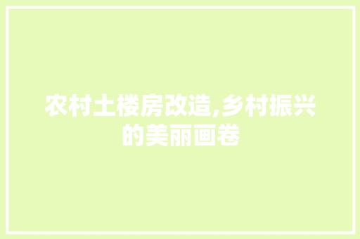 农村土楼房改造,乡村振兴的美丽画卷