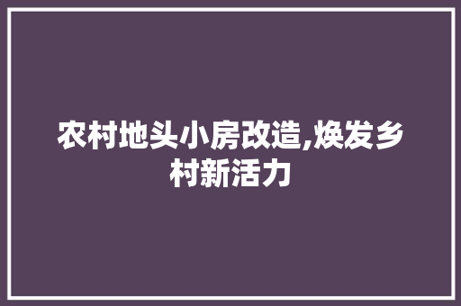 农村地头小房改造,焕发乡村新活力