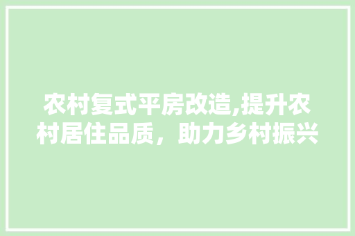 农村复式平房改造,提升农村居住品质，助力乡村振兴