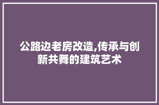 公路边老房改造,传承与创新共舞的建筑艺术