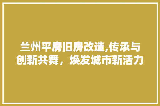 兰州平房旧房改造,传承与创新共舞，焕发城市新活力