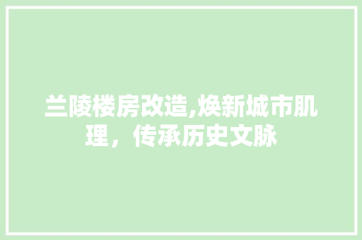兰陵楼房改造,焕新城市肌理，传承历史文脉