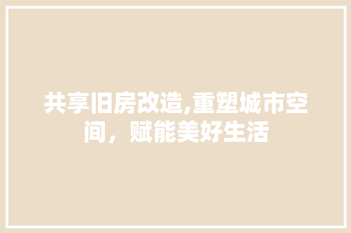 共享旧房改造,重塑城市空间，赋能美好生活