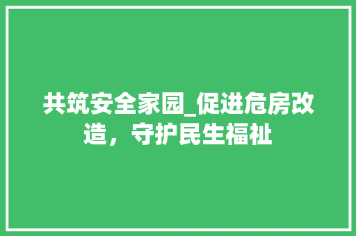 共筑安全家园_促进危房改造，守护民生福祉