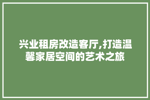 兴业租房改造客厅,打造温馨家居空间的艺术之旅
