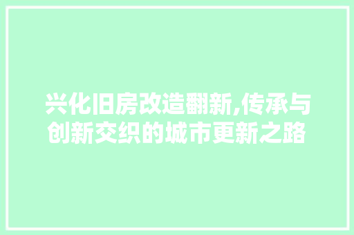 兴化旧房改造翻新,传承与创新交织的城市更新之路