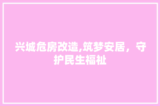 兴城危房改造,筑梦安居，守护民生福祉