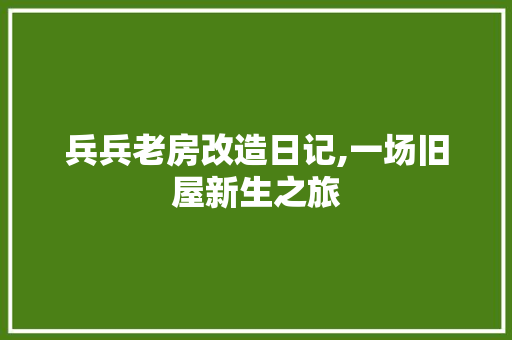 兵兵老房改造日记,一场旧屋新生之旅
