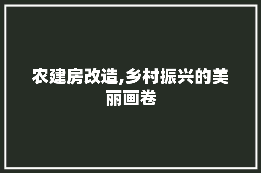 农建房改造,乡村振兴的美丽画卷