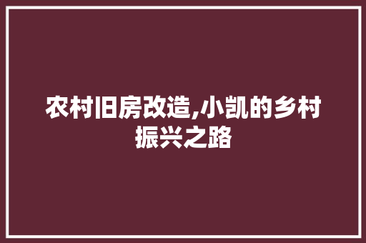 农村旧房改造,小凯的乡村振兴之路