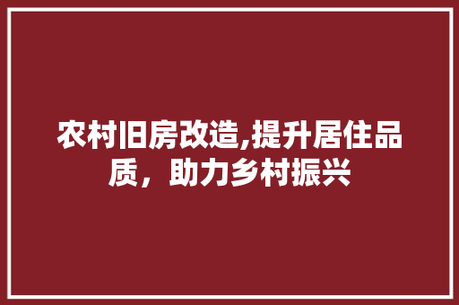 农村旧房改造,提升居住品质，助力乡村振兴
