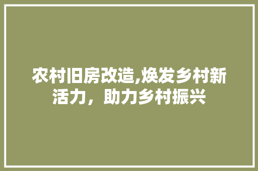 农村旧房改造,焕发乡村新活力，助力乡村振兴