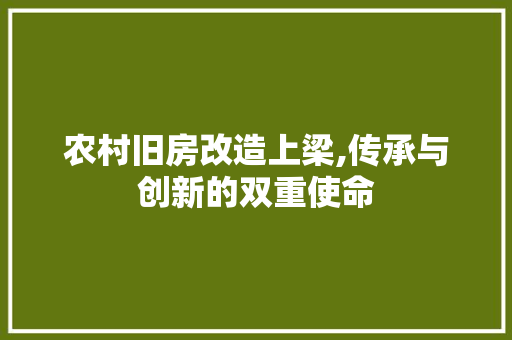 农村旧房改造上梁,传承与创新的双重使命