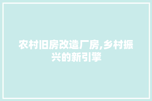 农村旧房改造厂房,乡村振兴的新引擎