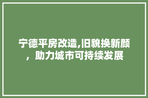 宁德平房改造,旧貌换新颜，助力城市可持续发展