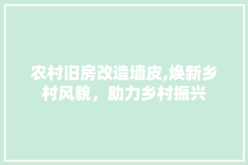 农村旧房改造墙皮,焕新乡村风貌，助力乡村振兴