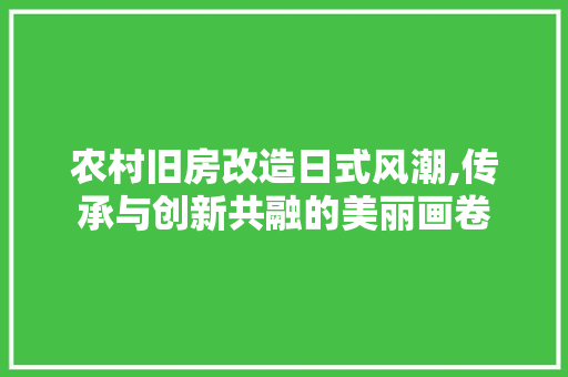 农村旧房改造日式风潮,传承与创新共融的美丽画卷