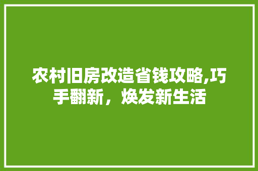 农村旧房改造省钱攻略,巧手翻新，焕发新生活