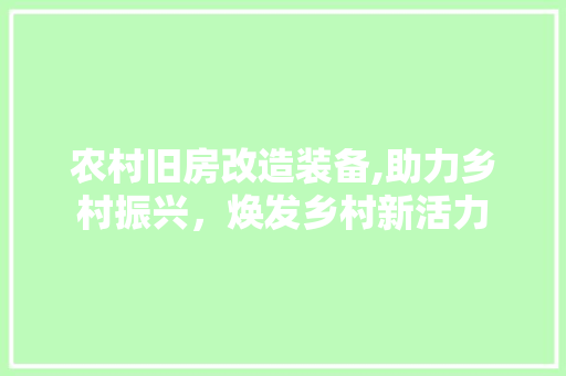 农村旧房改造装备,助力乡村振兴，焕发乡村新活力
