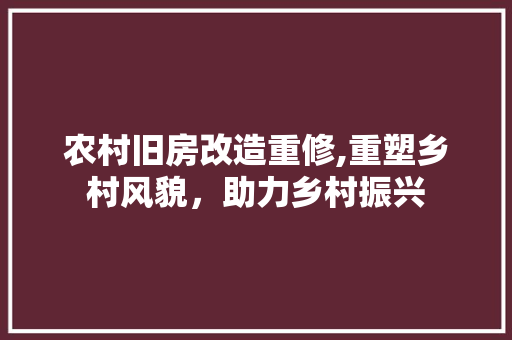 农村旧房改造重修,重塑乡村风貌，助力乡村振兴