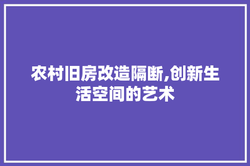 农村旧房改造隔断,创新生活空间的艺术