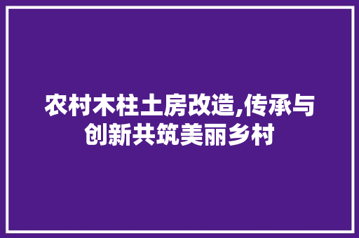 农村木柱土房改造,传承与创新共筑美丽乡村