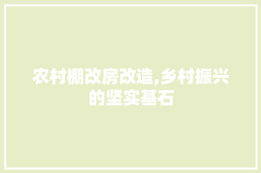 农村棚改房改造,乡村振兴的坚实基石