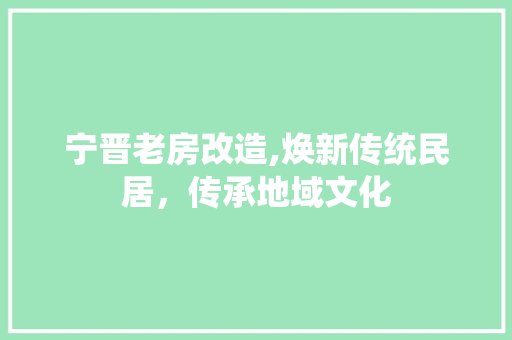 宁晋老房改造,焕新传统民居，传承地域文化