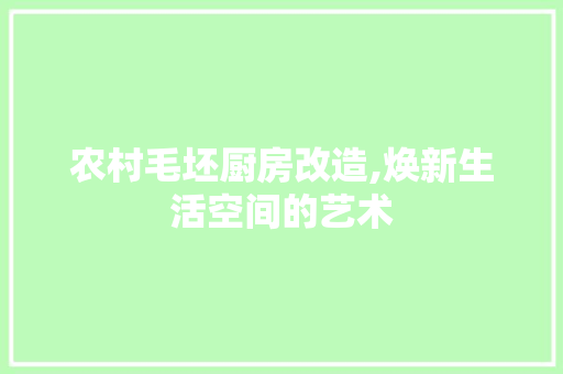 农村毛坯厨房改造,焕新生活空间的艺术