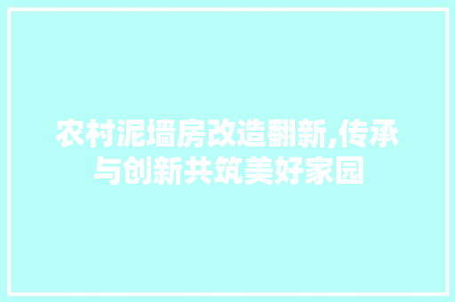 农村泥墙房改造翻新,传承与创新共筑美好家园