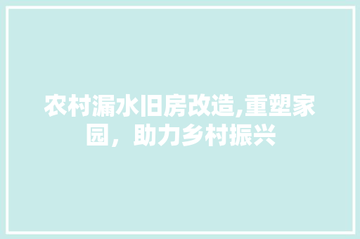 农村漏水旧房改造,重塑家园，助力乡村振兴