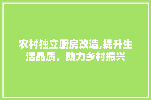 农村独立厨房改造,提升生活品质，助力乡村振兴