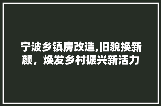 宁波乡镇房改造,旧貌换新颜，焕发乡村振兴新活力