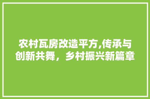农村瓦房改造平方,传承与创新共舞，乡村振兴新篇章